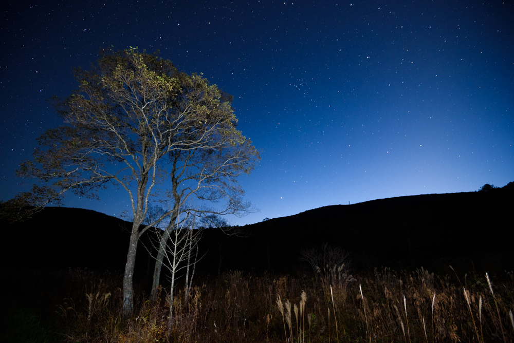 夜明け前の湿原と星空 Pre-dawn marshland and starry sky