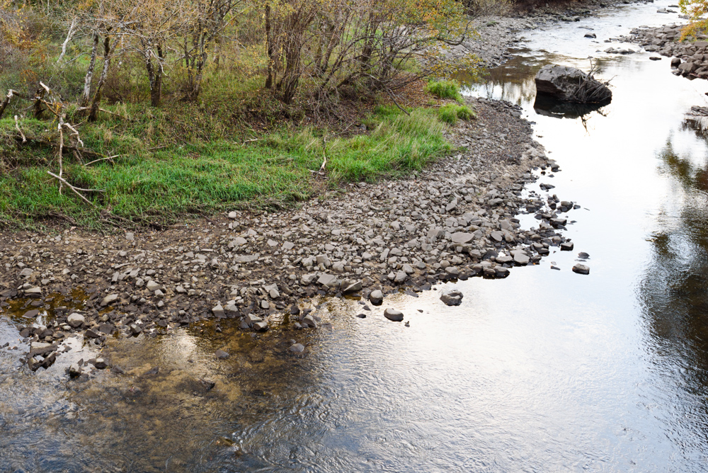 プラナリアがいそうな河原 Riverbanks where planaria may be found