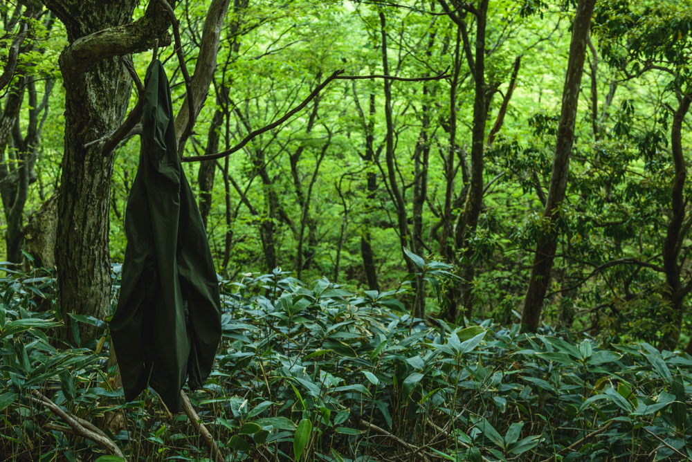 緑の森と緑のウィンドブレーカーGreen forest and green windbreaker