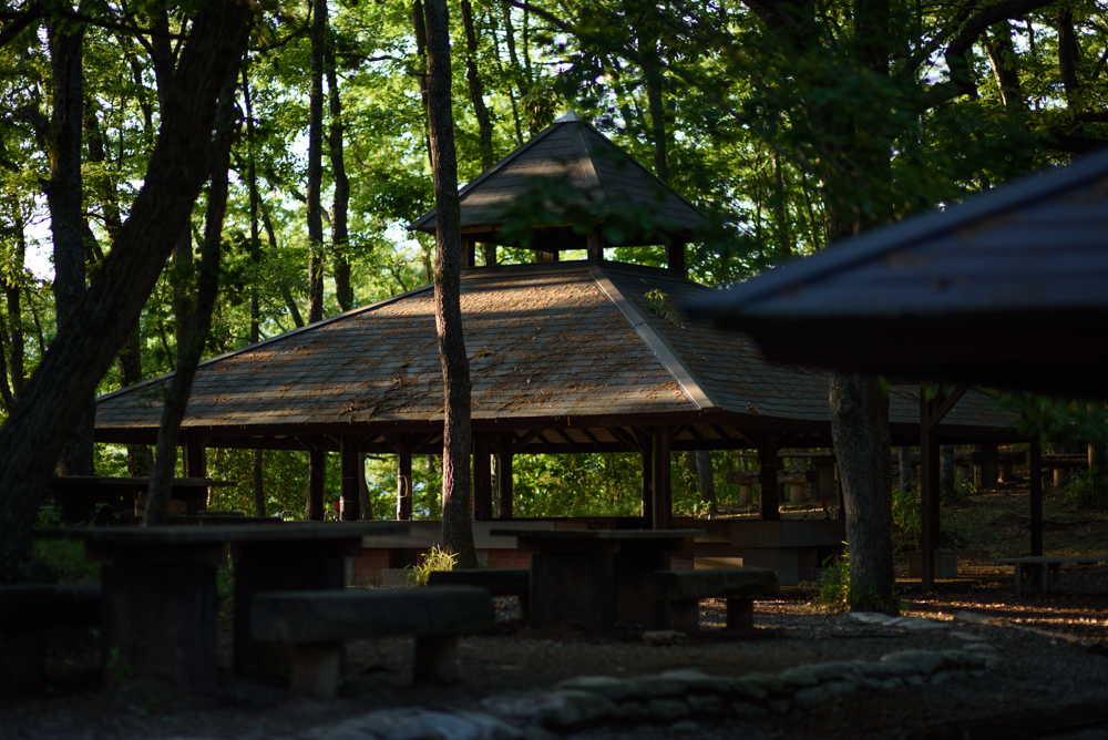 誰もいないキャンプ場 an empty campsite