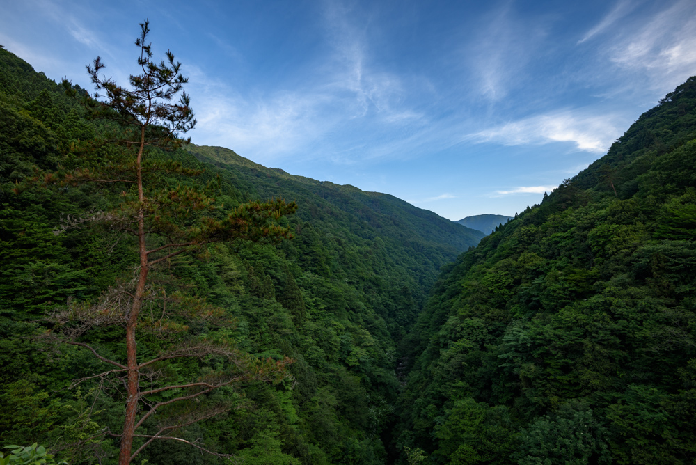 山深い谷 deep mountain valley