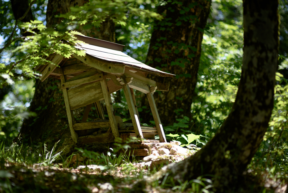 朽ちかけた小さな社 A small, decaying shrine