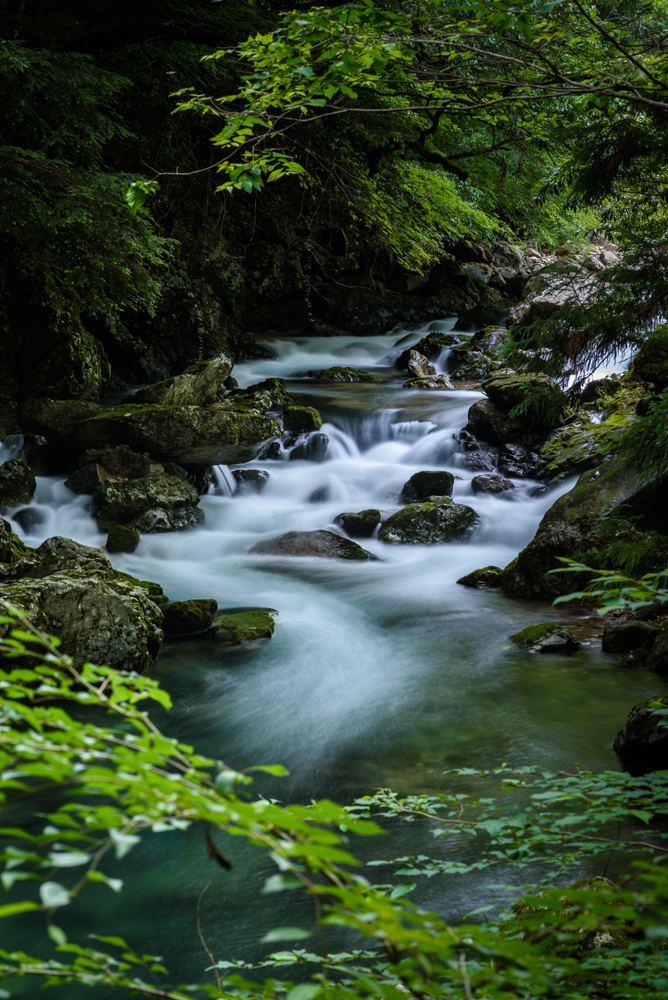 渓流 mountain stream 