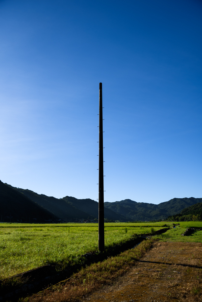 田んぼに立つ電柱跡 Ruins of utility poles standing in rice paddies 