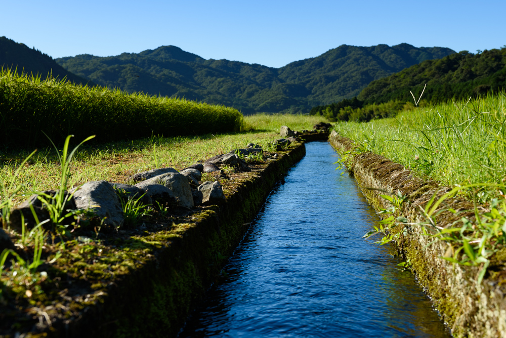 田んぼと水路 Rice paddies and waterways