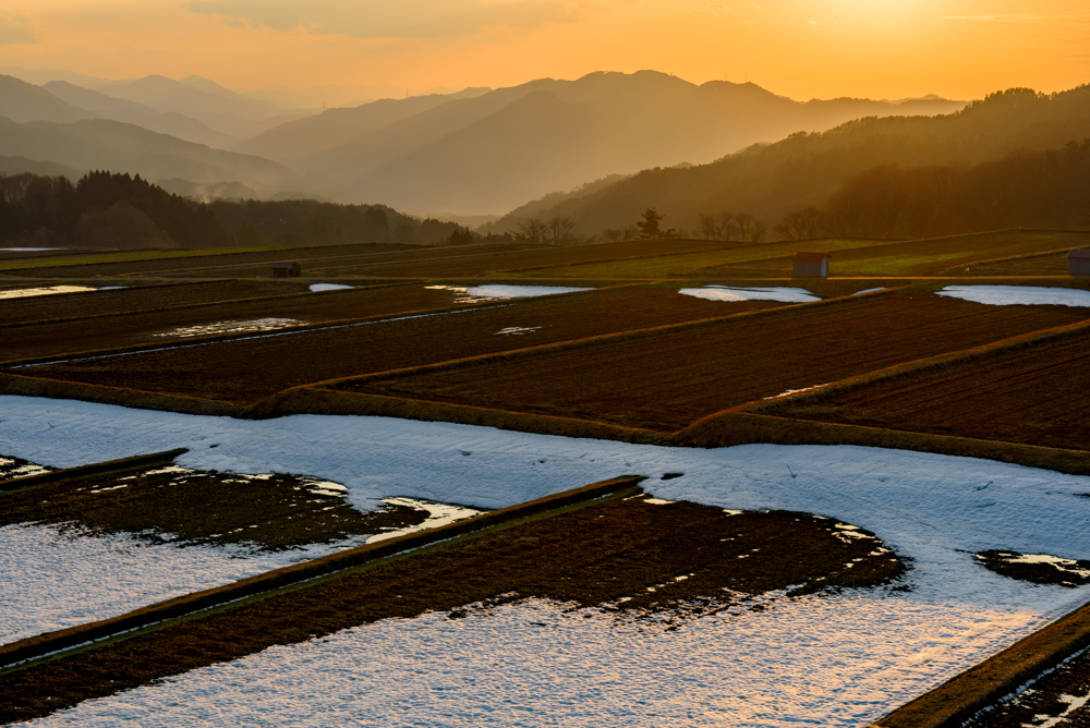 棚田の夕景 Terraced rice fields at dusk