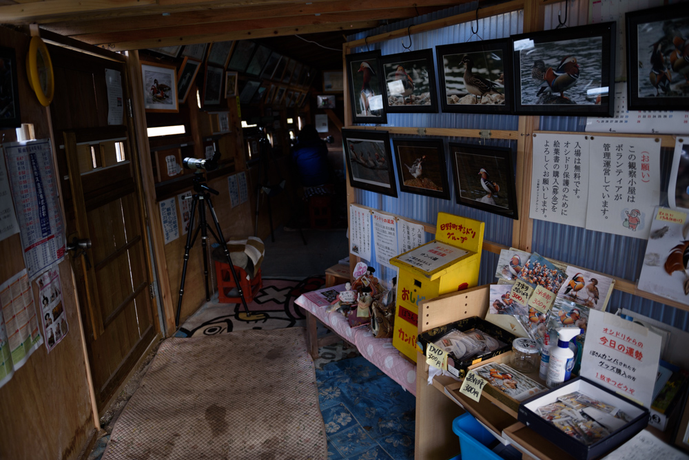 オシドリ小屋 Mandarin Duck hut