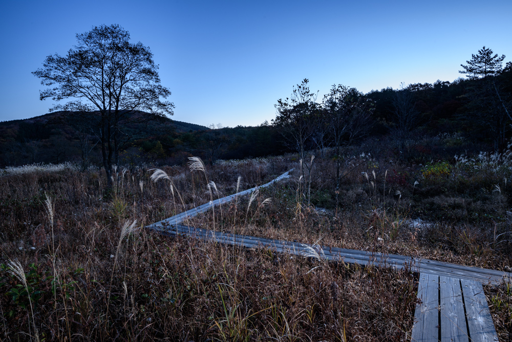 夜明け前の湿原の遊歩道 Pre-dawn marshland boardwalk