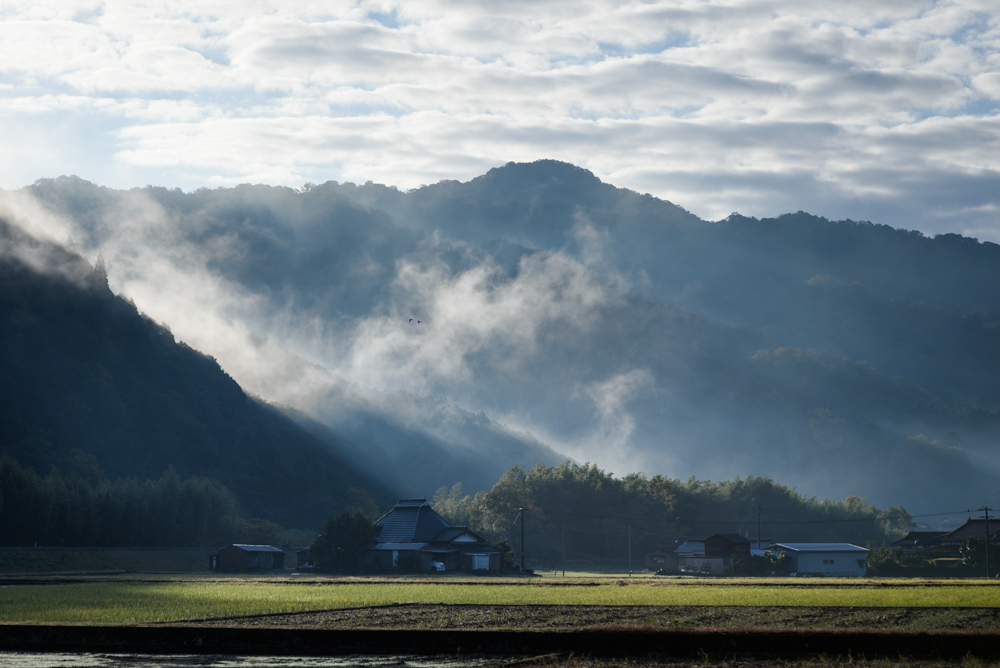 朝日の差す田舎の風景 Scenery of the countryside with the morning sun