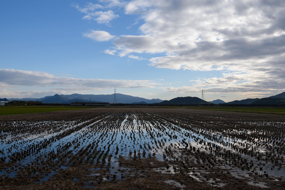 稲刈り後の田んぼの風景 landscape of rice field after harvesting