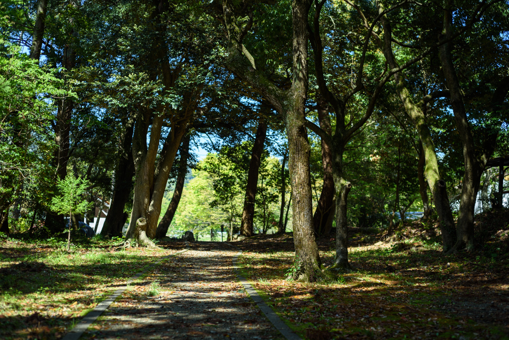 水若酢神社 Mizuwakasu shrine