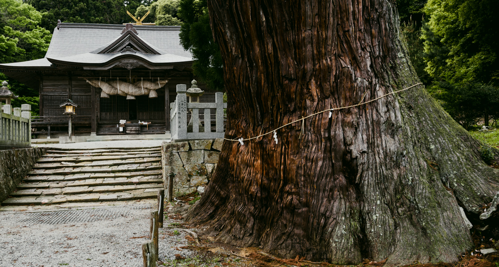 玉若酢命神社