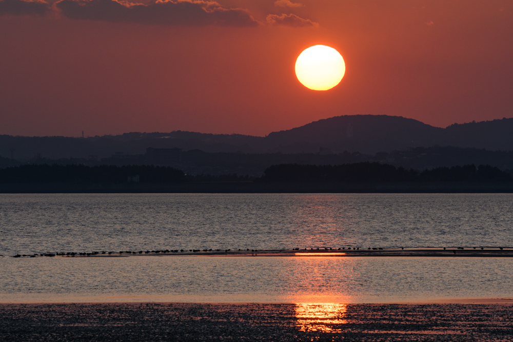 干潟の海と日没 / Tidal flats and sunset
