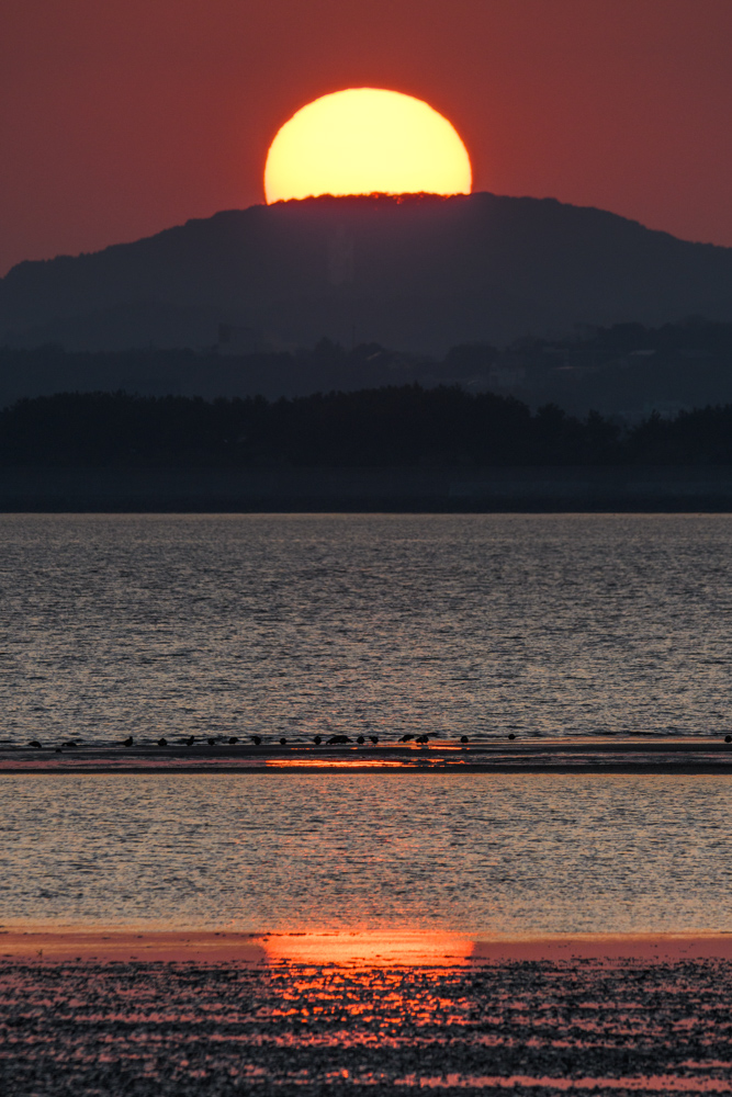 干潟の海と日没 / Tidal flats and sunset